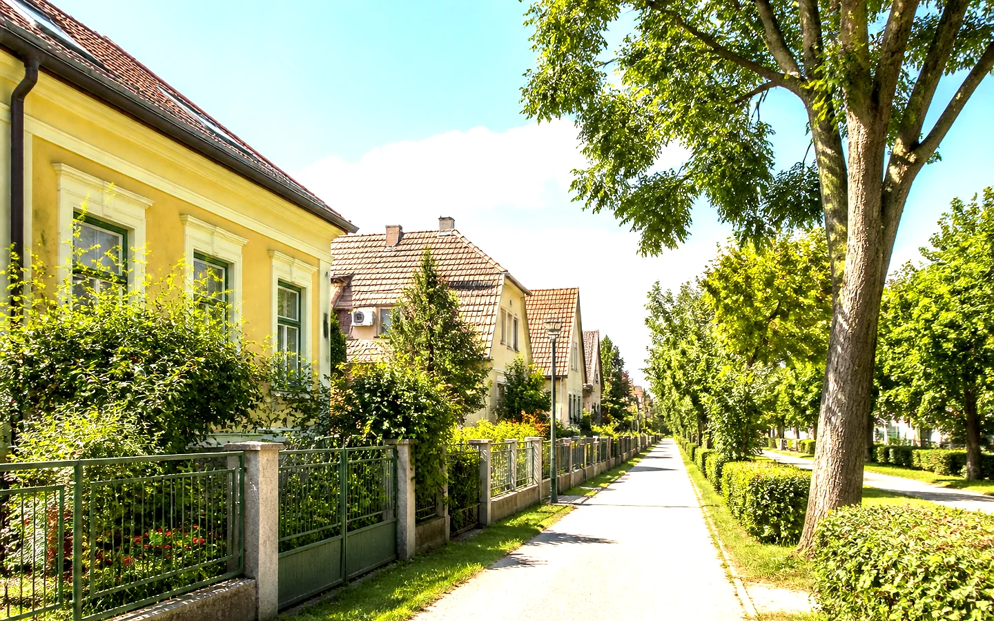 Ältere Vorstadthäuser an einer baumbestandenen Straße
